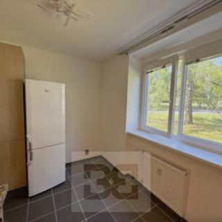 Pronájem bytu 1+1 30 m² Neratovice, Školní