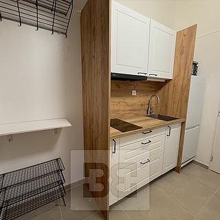 Pronájem bytu 2+1 38 m² Praha Žižkov, Hartigova