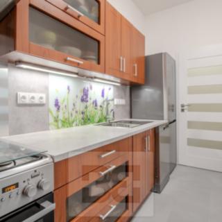 Pronájem bytu 2+kk 44 m² Praha