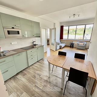 Pronájem bytu 3+1 82 m&sup2; Praha