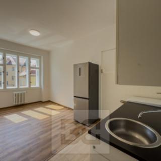 Pronájem bytu 1+1 47 m² Praha