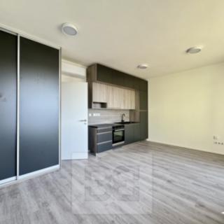 Pronájem bytu 1+kk, garsoniery 35 m² Znojmo