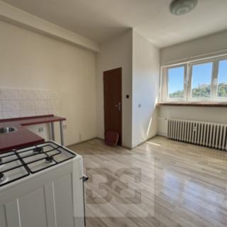 Pronájem bytu 1+1 43 m² Brno Veveří, Gorkého