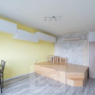 Pronájem bytu 1+1 35 m² Praha Troja