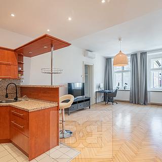 Pronájem bytu 1+kk, garsoniery 73 m&sup2; Praha