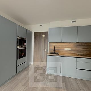 Pronájem bytu 1+kk a garsoniéry 37 m² Praha Hloubětín, Poděbradská