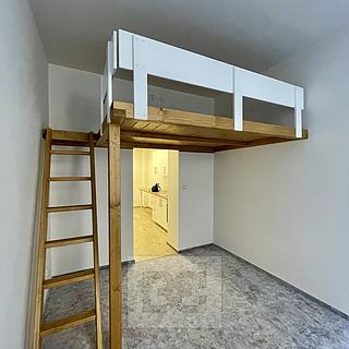 Pronájem bytu 1+1 30 m&sup2; Praha