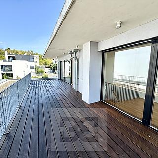 Pronájem rodinného domu 302 m² Praha