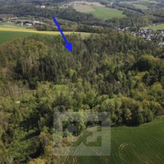 Prodej lesa 4369 m² Chocerady
