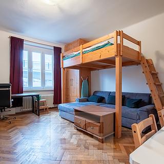 Pronájem bytu 1+kk a garsoniéry 26 m² Praha Holešovice, Strojnická