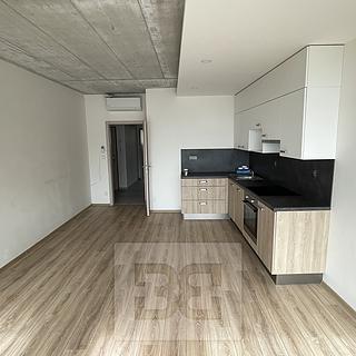 Pronájem bytu 3+kk 83 m² Brno Líšeň