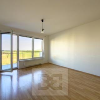 Pronájem bytu 2+kk 48 m² Praha, Kryšpínova