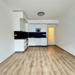 Pronájem bytu 1+kk a garsoniéry 35 m² Brno Zábrdovice, Spolková