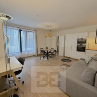 Pronájem bytu 1+kk, garsoniery 40 m² Praha