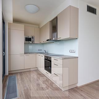 Pronájem bytu 2+kk 66 m² Praha Žižkov, Olšanská