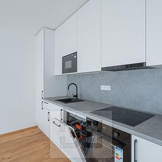 Pronájem bytu 1+kk a garsoniéry 43 m² Praha Košíře, Starokošířská