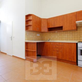Pronájem bytu 1+1 40 m² Praha
