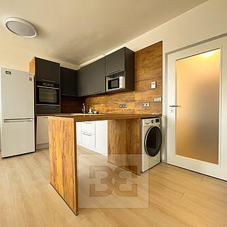 Pronájem bytu 1+kk, garsoniery 33 m&sup2; Plzeň