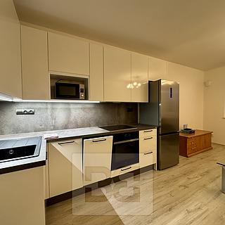 Pronájem bytu 2+kk 40 m² Brno Černovice, Štolcova