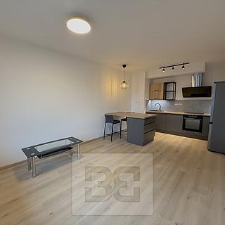 Pronájem bytu 2+kk 46 m² Praha