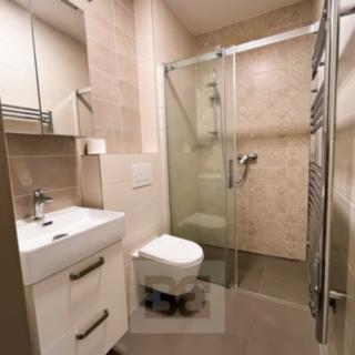 Pronájem bytu 1+kk a garsoniéry 28 m² Plzeň Lobzy, Živnostenská