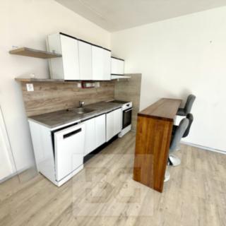 Pronájem bytu 1+kk a garsoniéry 32 m² Plzeň Bolevec, Toužimská