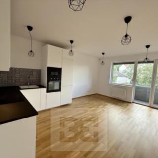 Pronájem bytu 2+kk 50 m² Praha Michle, Hadovitá