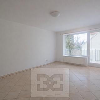 Pronájem bytu 1+1 51 m² České Budějovice 7