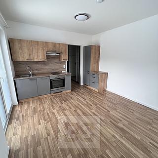 Pronájem bytu 1+kk, garsoniery 25 m&sup2; Praha