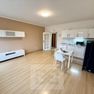 Pronájem bytu 1+kk a garsoniéry 35 m² Praha Čimice, Zaječická