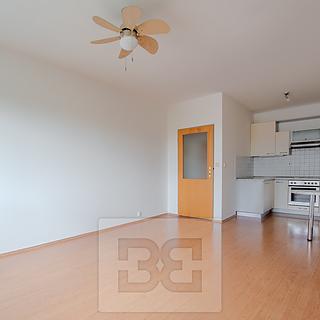 Pronájem bytu 2+kk 54 m² Praha