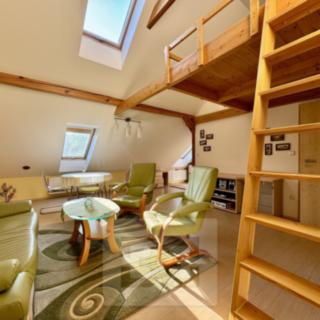 Pronájem bytu 2+kk 60 m² Velké Opatovice
