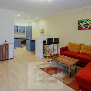 Pronájem bytu 2+kk 54 m² Praha Holešovice, V háji