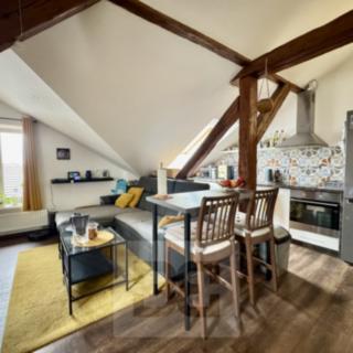 Pronájem bytu 3+kk 100 m² Brno Horní Heršpice, Výpravní
