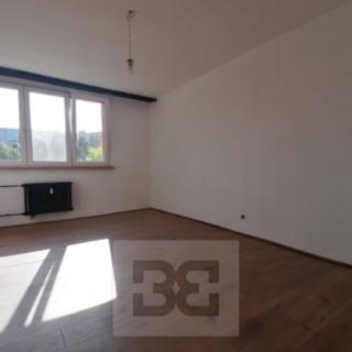 Pronájem bytu 1+1 40 m² Ostrava, Stadická