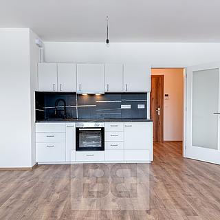 Prodej bytu 1+kk a garsoniéry 39 m² Liberec X-Františkov, Švermova