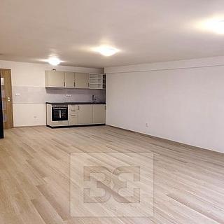 Pronájem bytu 1+kk a garsoniéry 65 m² Mohelnice, Olomoucká
