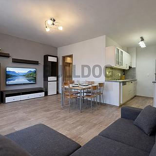 Pronájem bytu 3+kk 54 m² Praha Záběhlice, Bělčická