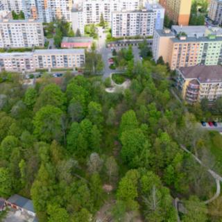 Prodej ostatních pozemků 8104 m² Liberec