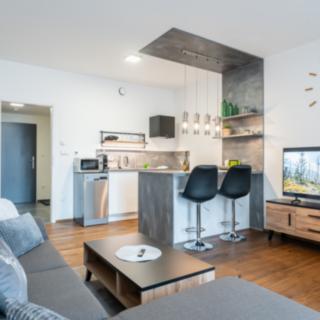 Pronájem bytu 1+kk a garsoniéry 29 m² Vrchlabí Hořejší, Horská