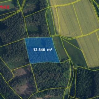 Prodej lesa 30 155 m² Bílá