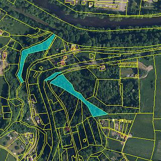 Prodej lesa 5 535 m² Železný Brod