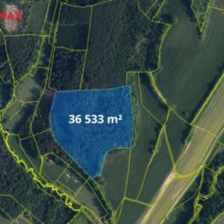 Prodej lesa 66 688 m² Bílá