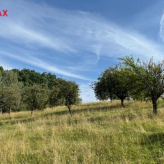 Prodej stavební parcely 10 089 m² Kněžmost Drhleny