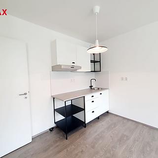 Pronájem bytu 1+kk a garsoniéry 33 m² Liberec IV-Perštýn, Na Perštýně