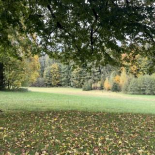 Prodej stavební parcely 1079 m² Maršovice