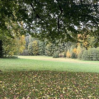 Prodej stavební parcely 1 079 m² Maršovice