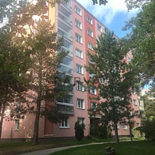 Pronájem bytu 4+1 76 m² Plzeň Jižní Předměstí, Skupova