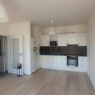 Pronájem bytu 1+kk a garsoniéry 47 m² Plzeň Jižní Předměstí, Inženýrská