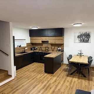 Pronájem rodinného domu 100 m&sup2; Záchlumí